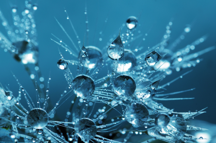 science stories